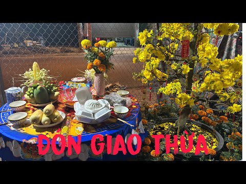 Không khí đón năm mới cả sớm ra đường ngắm pháo 