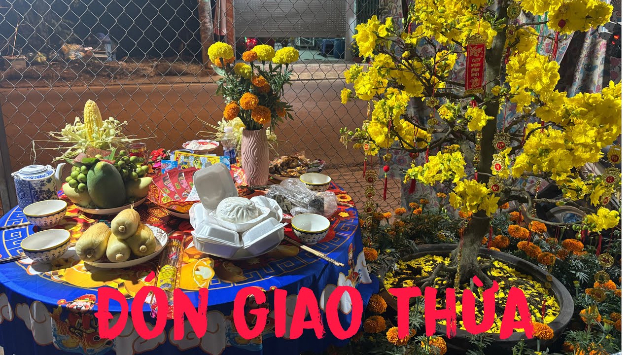 Không khí đón năm mới cả sớm ra đường ngắm pháo 