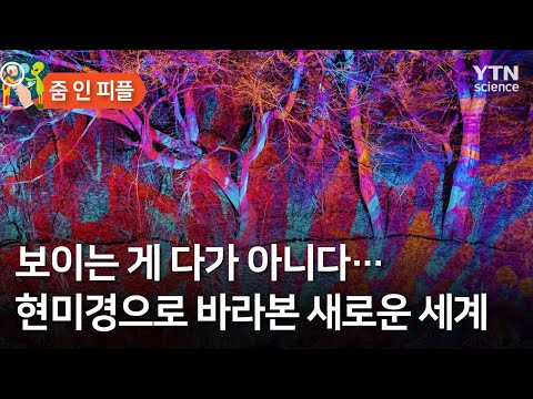 [줌 인 피플] 보이는 게 다가 아니다…현미경으로 바라본 새로운 세계 / YTN 사이언스