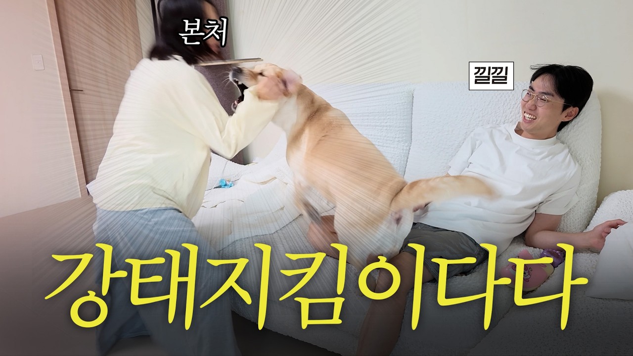 내연견 이다다, 이강태 지키겠다고 본처를 공격했습니다 (배신돼지)