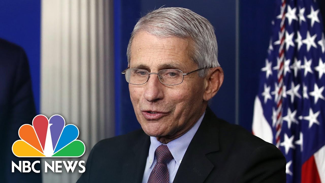 Fauci Clashes In Tense Moment At Senate Hearing | NBC Nightly News