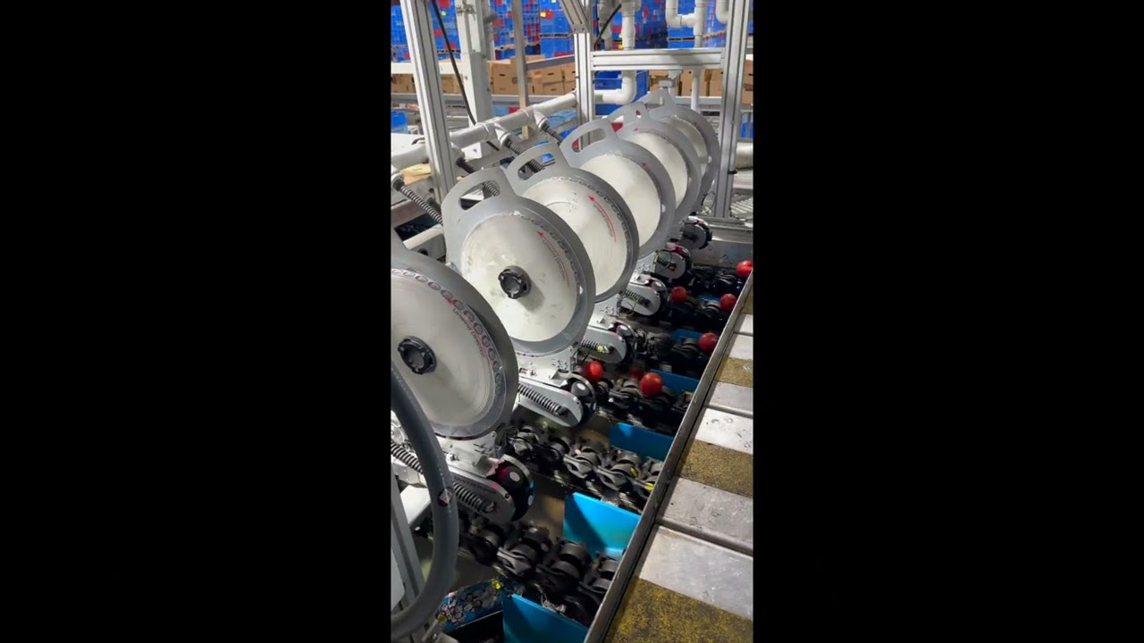 Tomato label applicator machine-LABELPAC