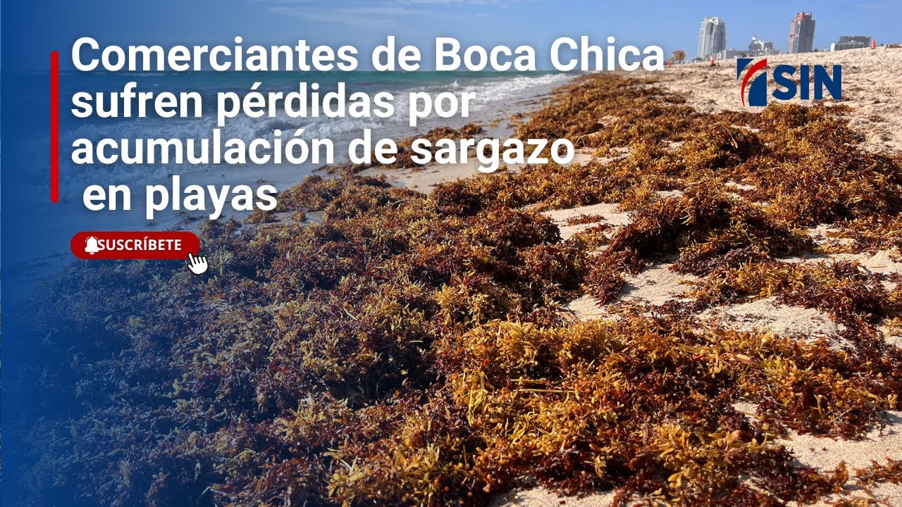 Comerciantes de Boca chica sufren pérdidas por acumulación de sargazo