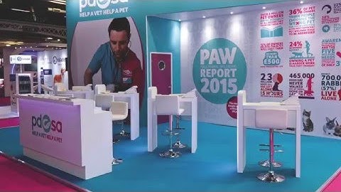 ROCKET PRINT & PROMOTIONS - 2016