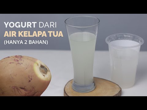 Air Kelapa Tua Untuk Masak Apa