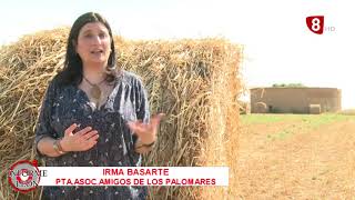 INFORME LEÓN (22-4-21) Lactiber León | Cuevas menudas Villasabariego | Palomares leoneses