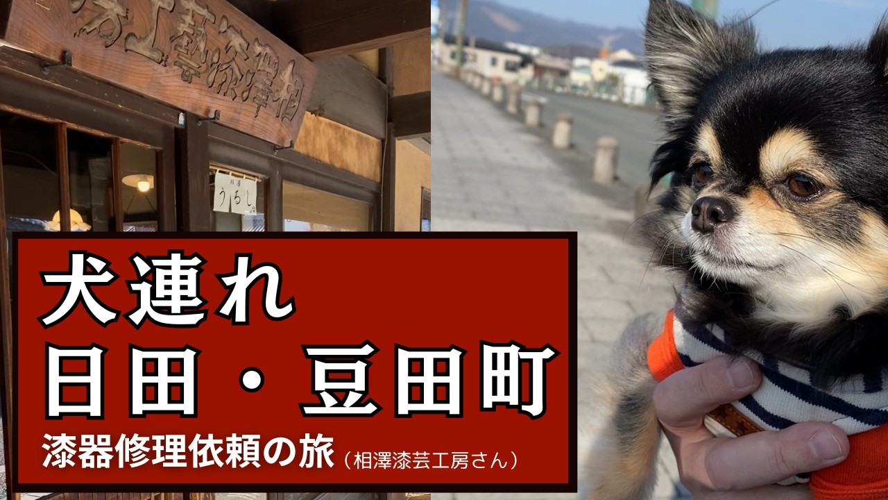 【犬連れ日田・豆田町】漆器修理(塗り直し)依頼の旅【相澤漆芸工房さん】#大分県日田市 #チワワ #chihuahua