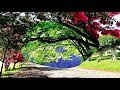 The beauty of world gardens! (HD1080p)