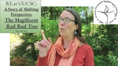 The Magnificent Red Bud Tree: A story of shifting perspectives