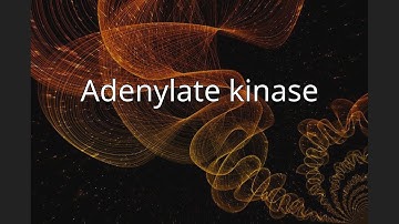 Adenylate kinase