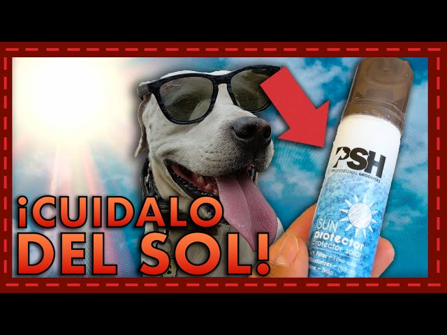 Protector Solar Para Perros Y Gatos - Hidratante, Resistente Al Agua, De Amplio Espectro Para Piel Sensible