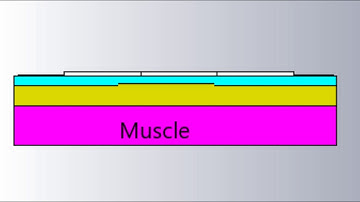 Dielectric properties of human body tissue #Phantom #CST
