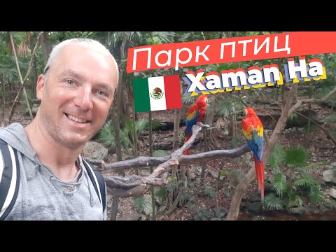 Парк птиц Xaman Ha