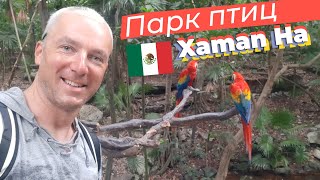 Парк птиц Xaman Ha