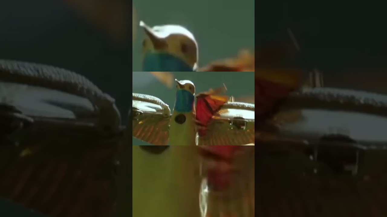 Supernova, ATL HIP-HOP ARTIST 