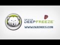 Deep Freeze Enterprise 8.23 Full İndir