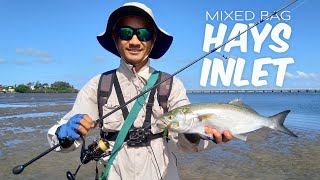 Flathead, Tailor & Bream Mixed Bag - Fishing Hays Inlet, Clontarf in Redcliffe