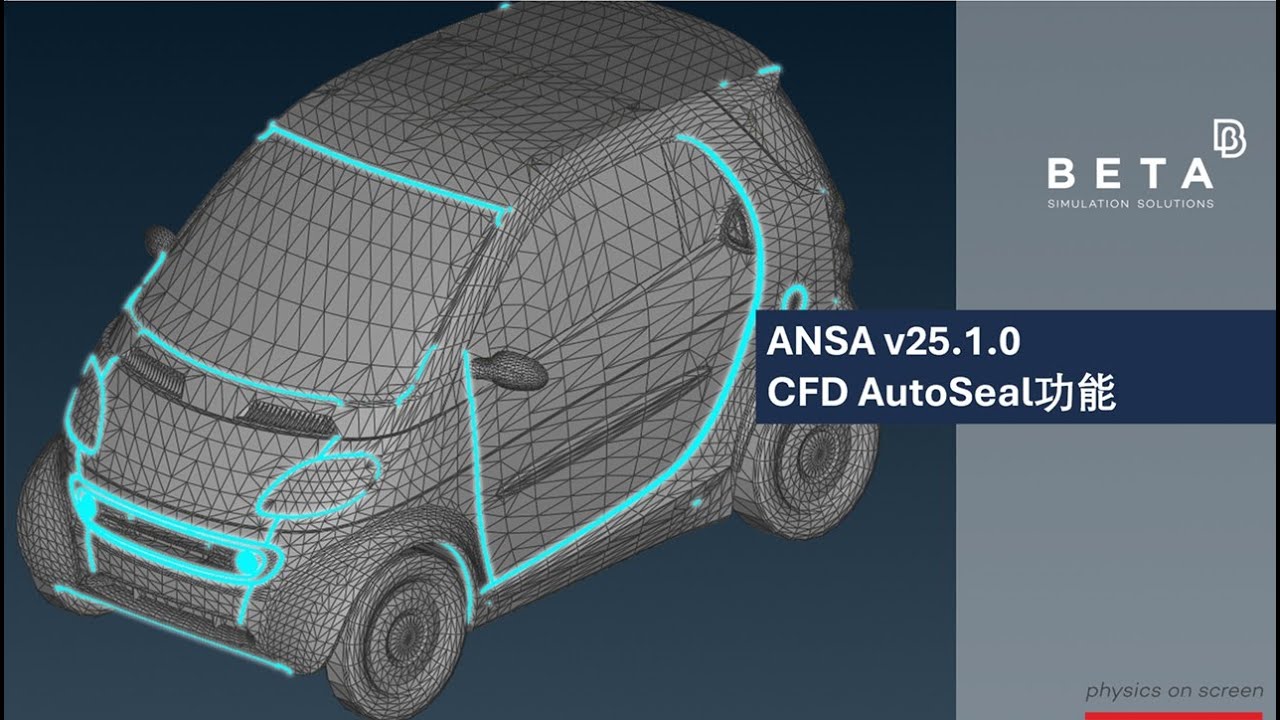 Cfd model 中文 (97) 사진
