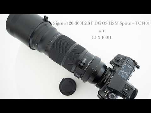 246 SIGMA 120-300mm F2.8 DG OS HSM Sports + TC1401 on GFX 100II