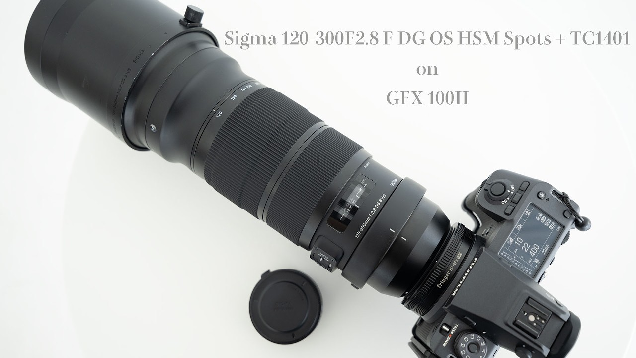 246 SIGMA 120-300mm F2.8 DG OS HSM Sports + TC1401 on GFX 100II