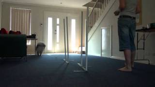 Jedi - 2x2 Weave Training - Session 7