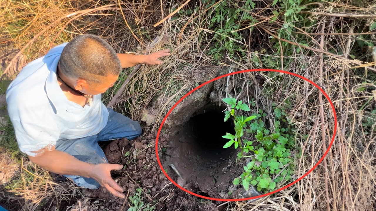 大叔田埂上发现一个洞，估计有老鼠，挖开后抓到一窝蛇鱼，发财了