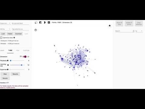 Go package dependencies embedding visualization