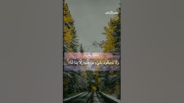 تلاوة خااشعة🔥 - آية الكرسي♥️ - صوت ينسيك الهموم ♥️😍- القارئ/حمزة بوديب💓