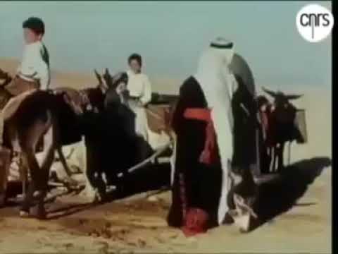 فيديو من التراث البدوي قديم ونادر من بئر الهزيل سنة 1946