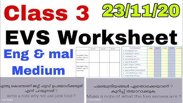 Class 3 EVS Worksheet nov 23/3rd std evs worksheet 23/11/20/victers std 3 evs worksheet 23/11/20