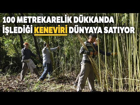 Video: Kenevir Ipleri: Emprenye Edilmiş Ipler Ve Diğer Tipler. Neyden Yapildilar? Halat Kenevirinden Adamlar. Güvenlik Faktörü Ne Olmalıdır?