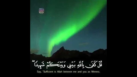 قل كفى بالله بيني وبينكم شهيدا...القارئ رعد الكردي/حالات واتس اب