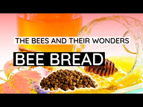 BEES AND THEIR WONDERS: BEE BREAD