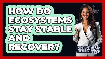 How Do Ecosystems Stay Stable And Recover? - Science Through Time