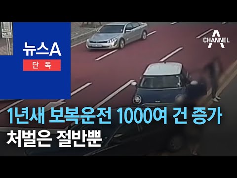 [단독]1년새 보복운전 <strong>1000건</strong> 이상 증가…처벌은 절반뿐 | 뉴스A