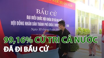 99,16% Cử tri cả nước đã đi Bầu cử| VTC14
