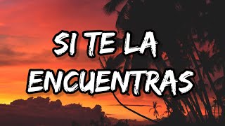 Feid - Si Te La Encuentras Por Ahí (Letra_Lyrics)