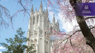 Sunday Holy Eucharist | 3.30.25