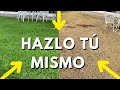 ❤️ Cómo REVIVIR un Pasto Seco ?? 👉🏼TRES soluciones low-cost 📉