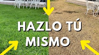 ❤ Cómo REVIVIR un Pasto Seco ??  3 soluciones lowcost