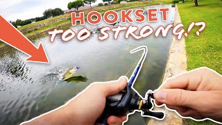 Pond Hopping Fishing Lure Slam Challenge! | Tackle GIVEAWAY!