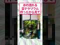 【2ch面白いスレ】オシャレな苔がコチラwww#2ch #2ch面白いスレ