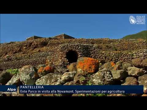 Ente Parco Pantelleria in visita alla Novamont. Sperimentazioni per agricoltura