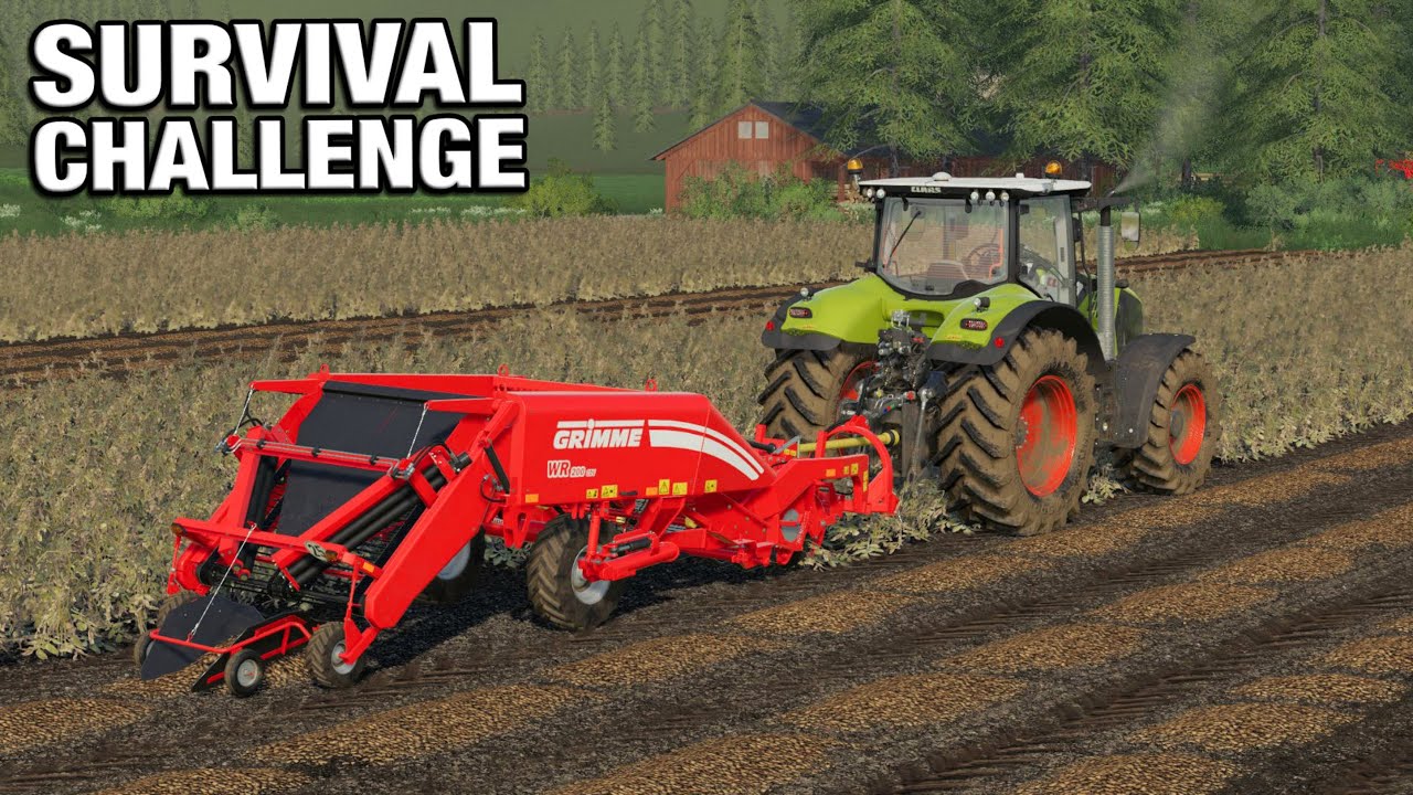 LIFTING POTATOES + BUILDING A SAWMILL- Survival Challenge No Mans Land FS19 Ep 62