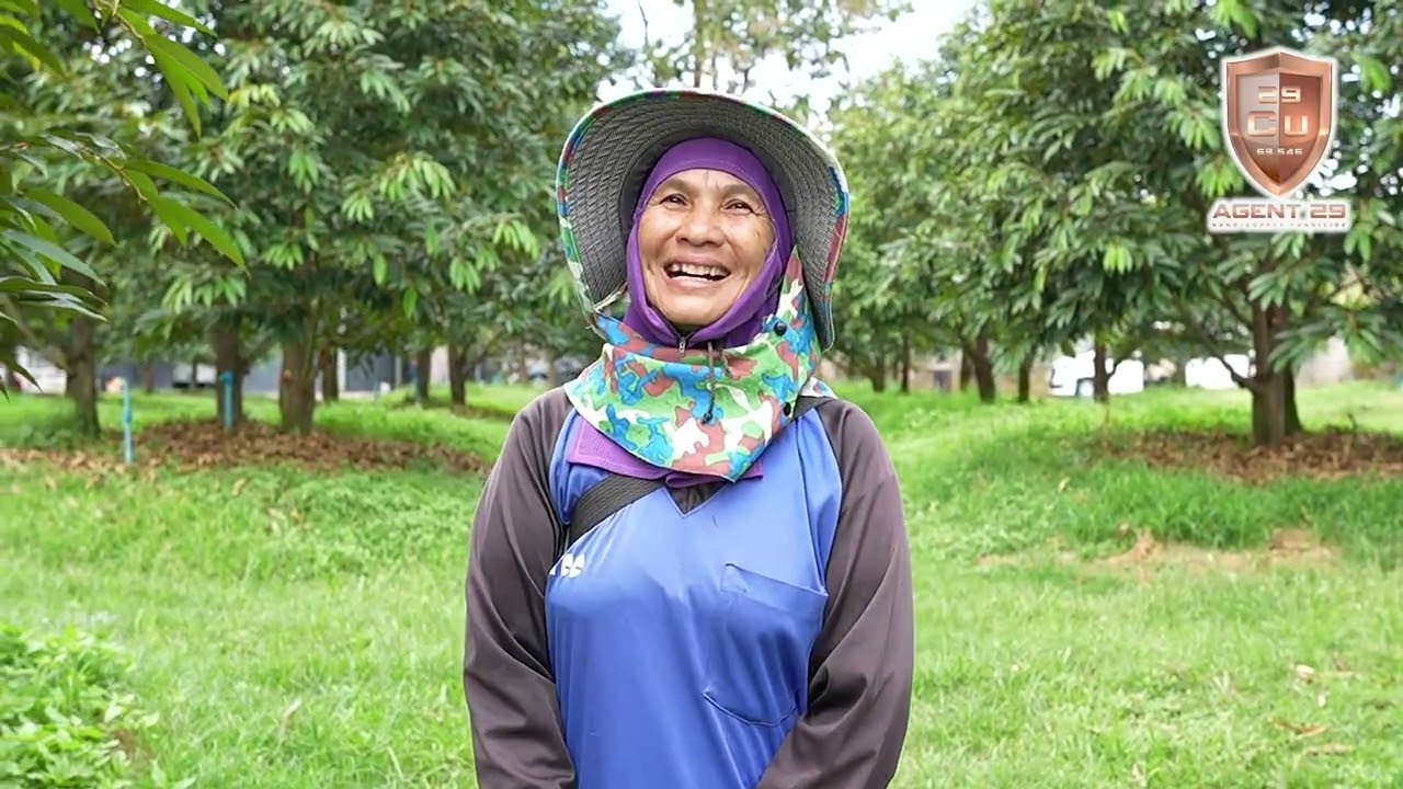 ป้าเรืองสอนวิธีใช้ Agent29 สวนพี่ชาญศักดิ์ จ.นครนายก