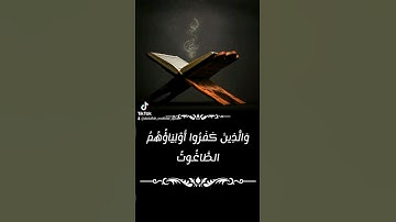 الله ولى الذين آمنوا♡|آية من سورة البقرة|عبدالله مختار