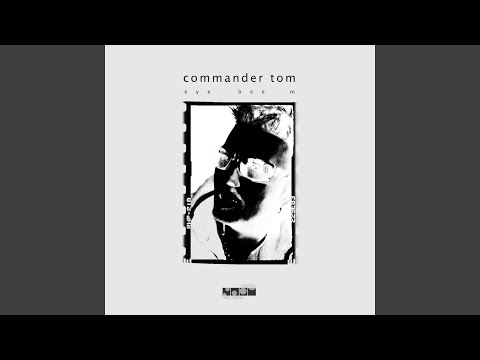 Eye Bee M (Timo Mass Remix)
