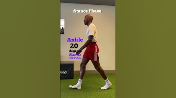 Ankle Motion during Gait Cycle