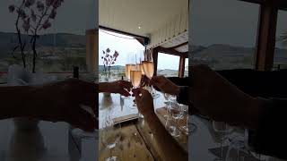 5 Vinícolas para visitar em São Joaquim-SC! 5 Vinícolas para visitar em São Joaquim-SC!