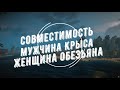 Совместимость мужчина Крыса и женщина Обезьяна